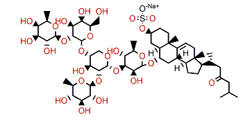 Lethasterioside A